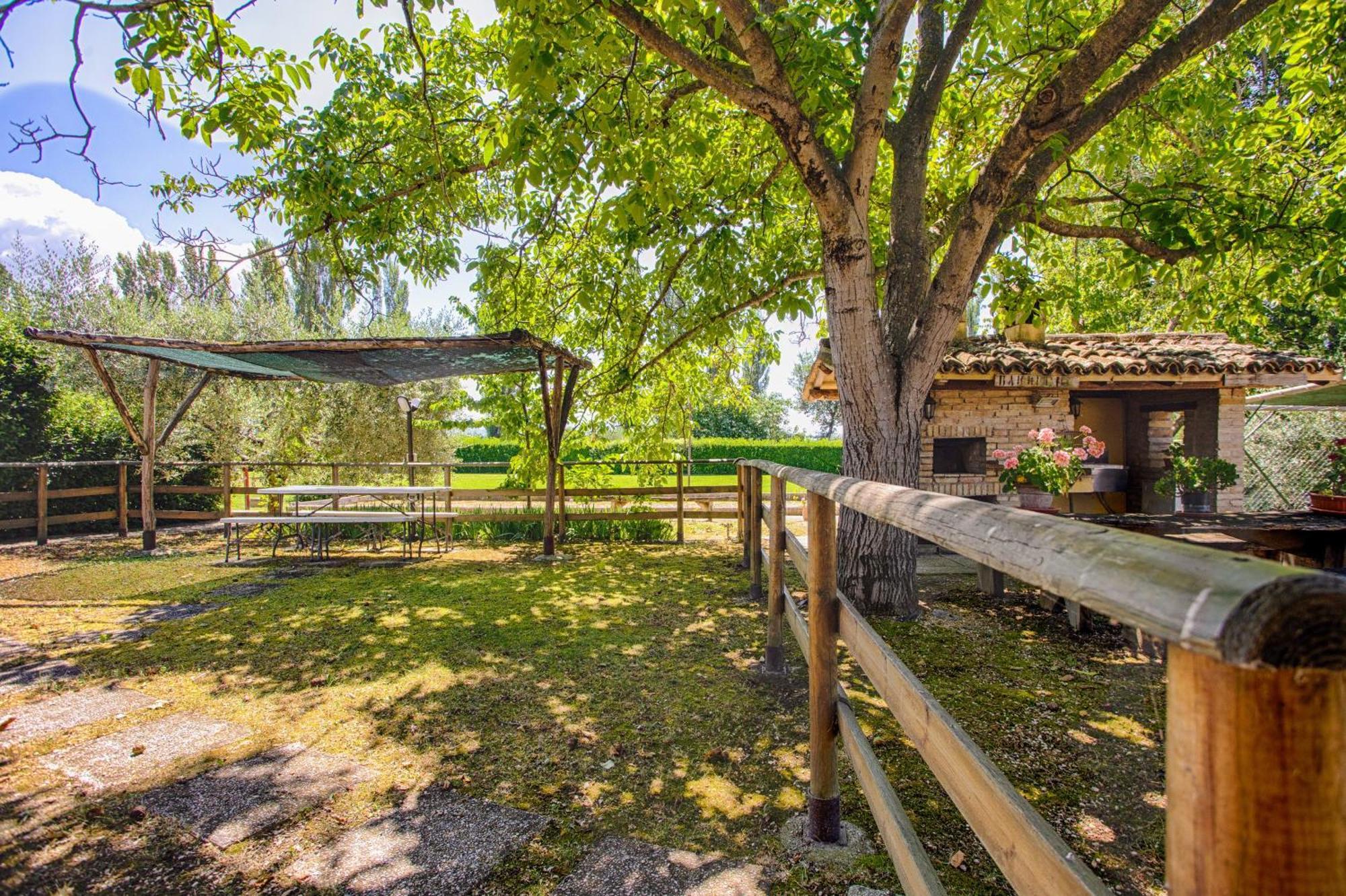 Agriturismo La Mora Assis Exterior foto